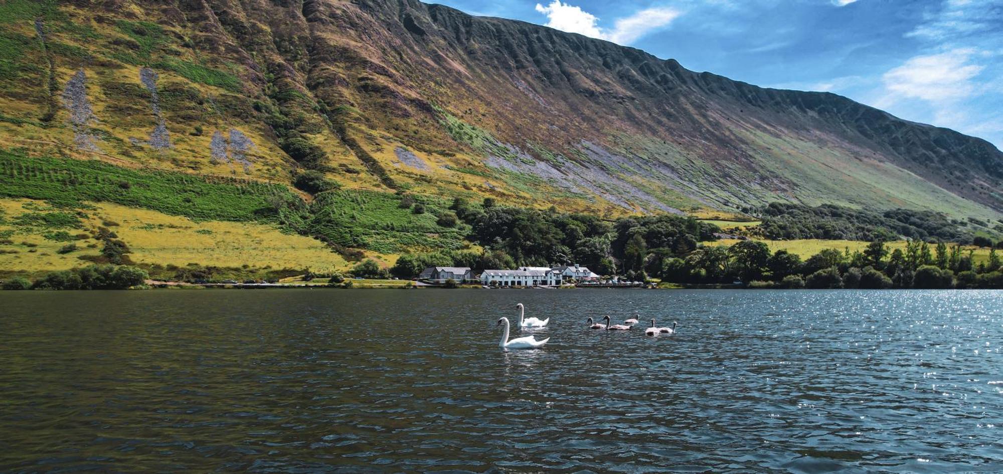 Tynycornel Hotel Tal-y-llyn Exterior foto